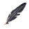 Blacktalon Tail Feather [45]